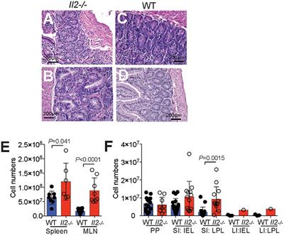 CCR9 Expressing T Helper and T Follicular Helper Cells Exhibit Site-Specific Identities During Inflammatory Disease